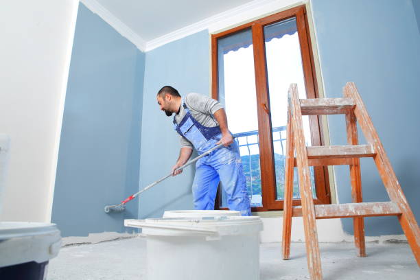 Reliable Great Bend, KS Mold Removal Solutions