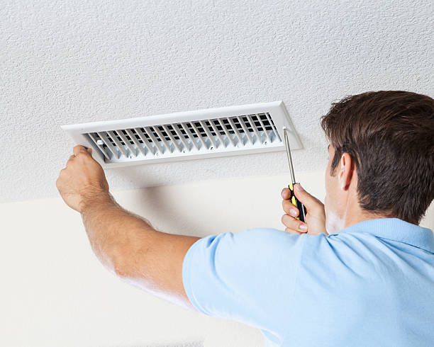 Best Basement Mold Removal  in Great Bend, KS