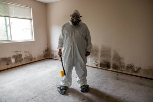 Asbestos and Lead Testing During Mold Inspection in Great Bend, KS